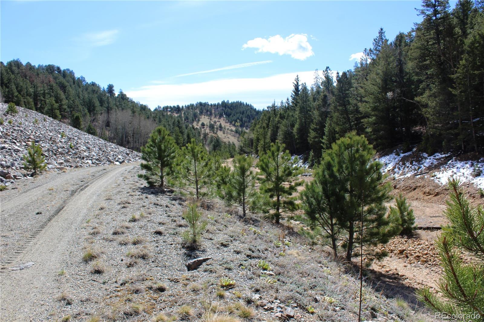 0 Missouri Flats Road Central City, CO 80427 - Photo 6 of 33 a view of a pathway with a yard