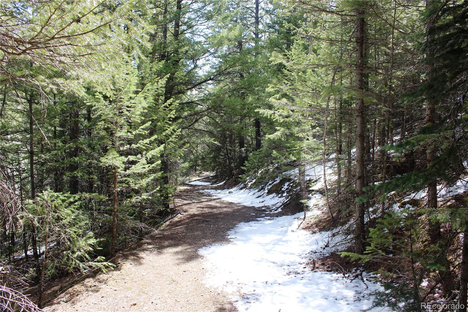 0 Missouri Flats Road Central City, CO 80427 - Photo 9 of 33 a view of a forest with trees