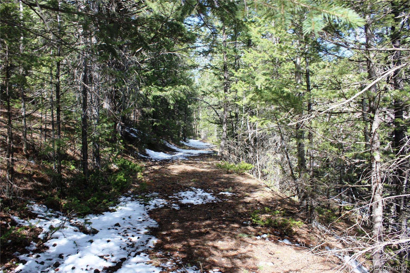 0 Missouri Flats Road Central City, CO 80427 - Photo 10 of 33 a view of a forest with trees