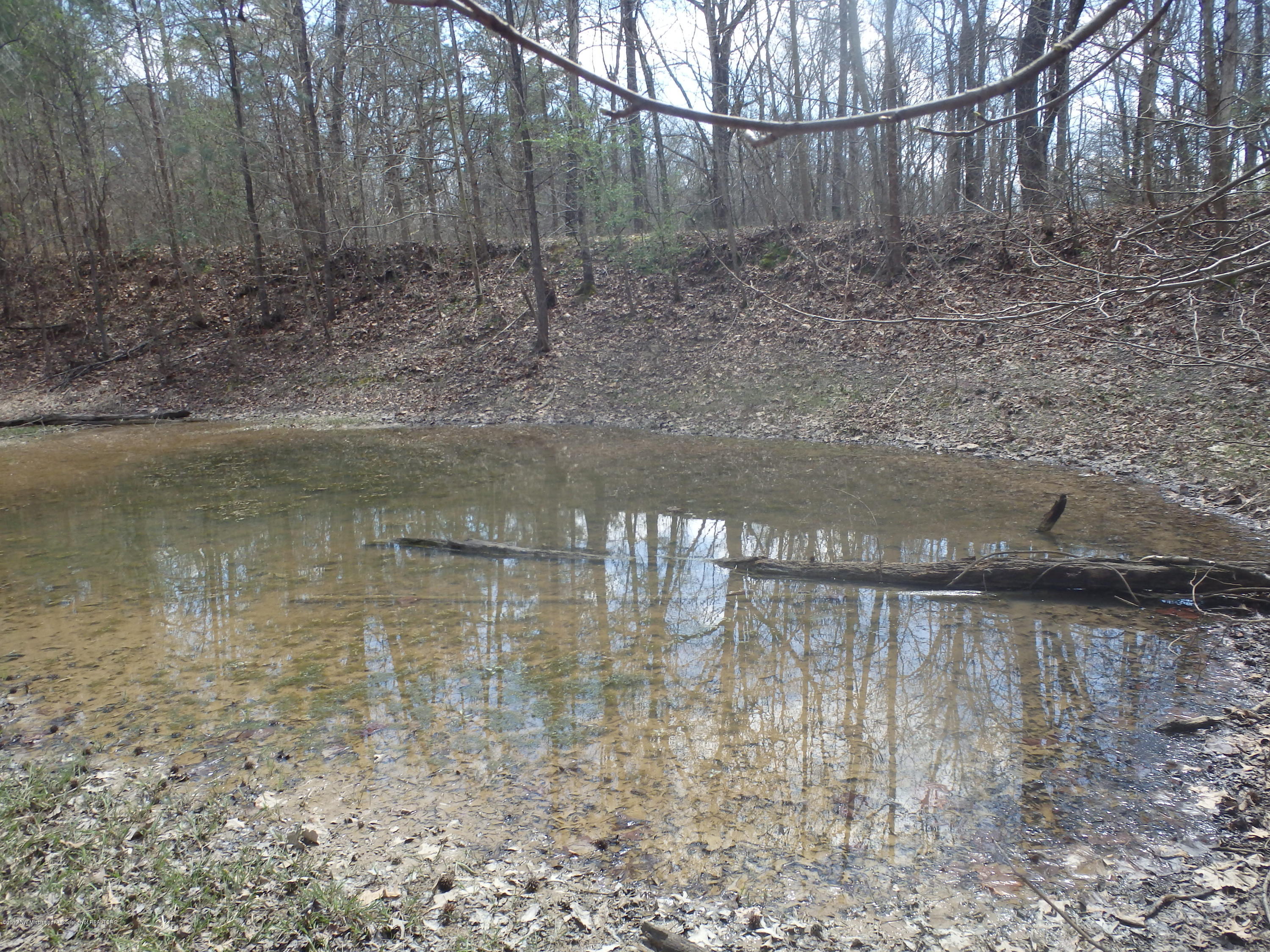 737 Graves Road Holly Springs, MS 38635 - Photo 1 of 8 P3260043