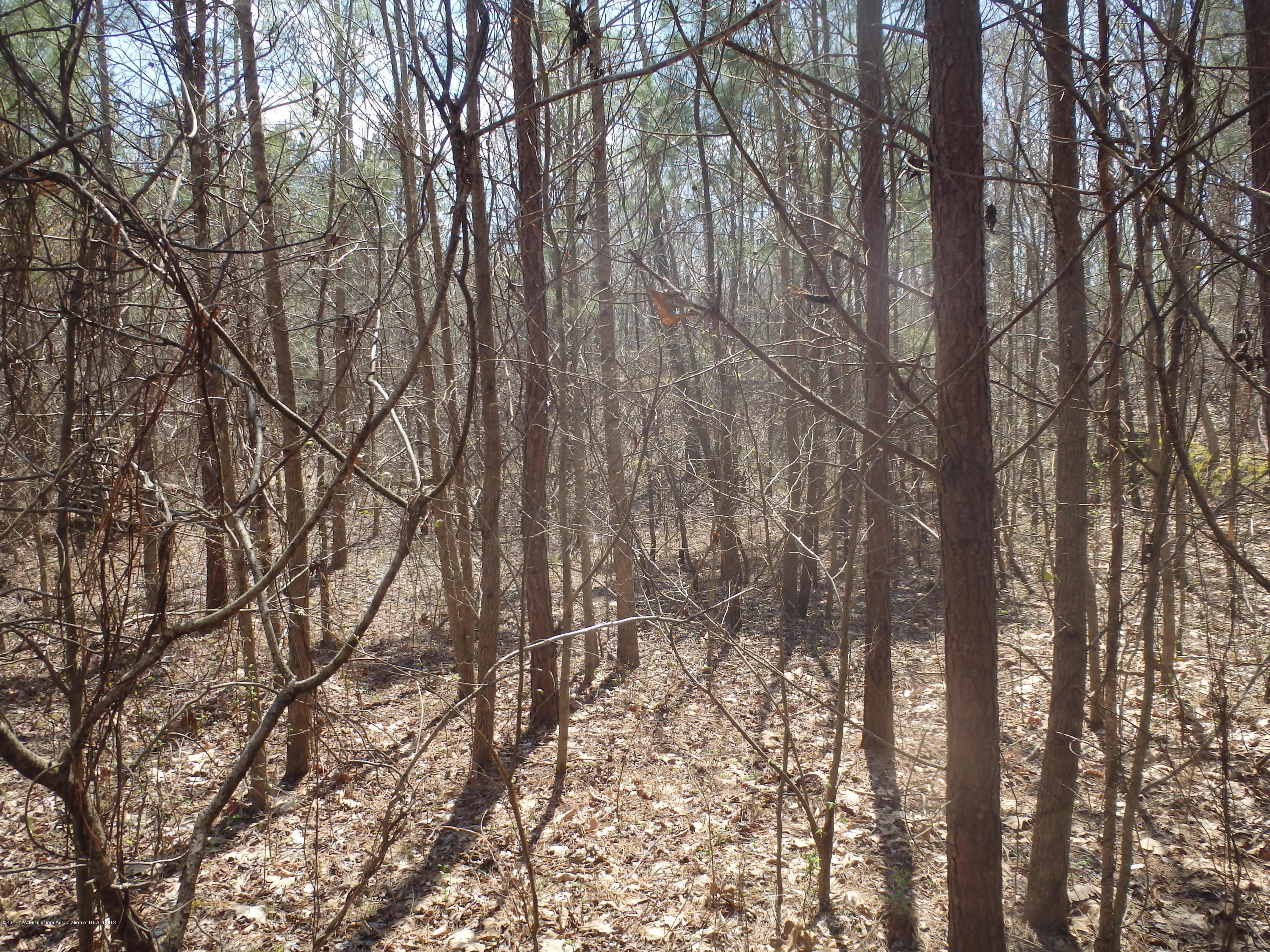 737 Graves Road Holly Springs, MS 38635 - Photo 2 of 8 P3260042