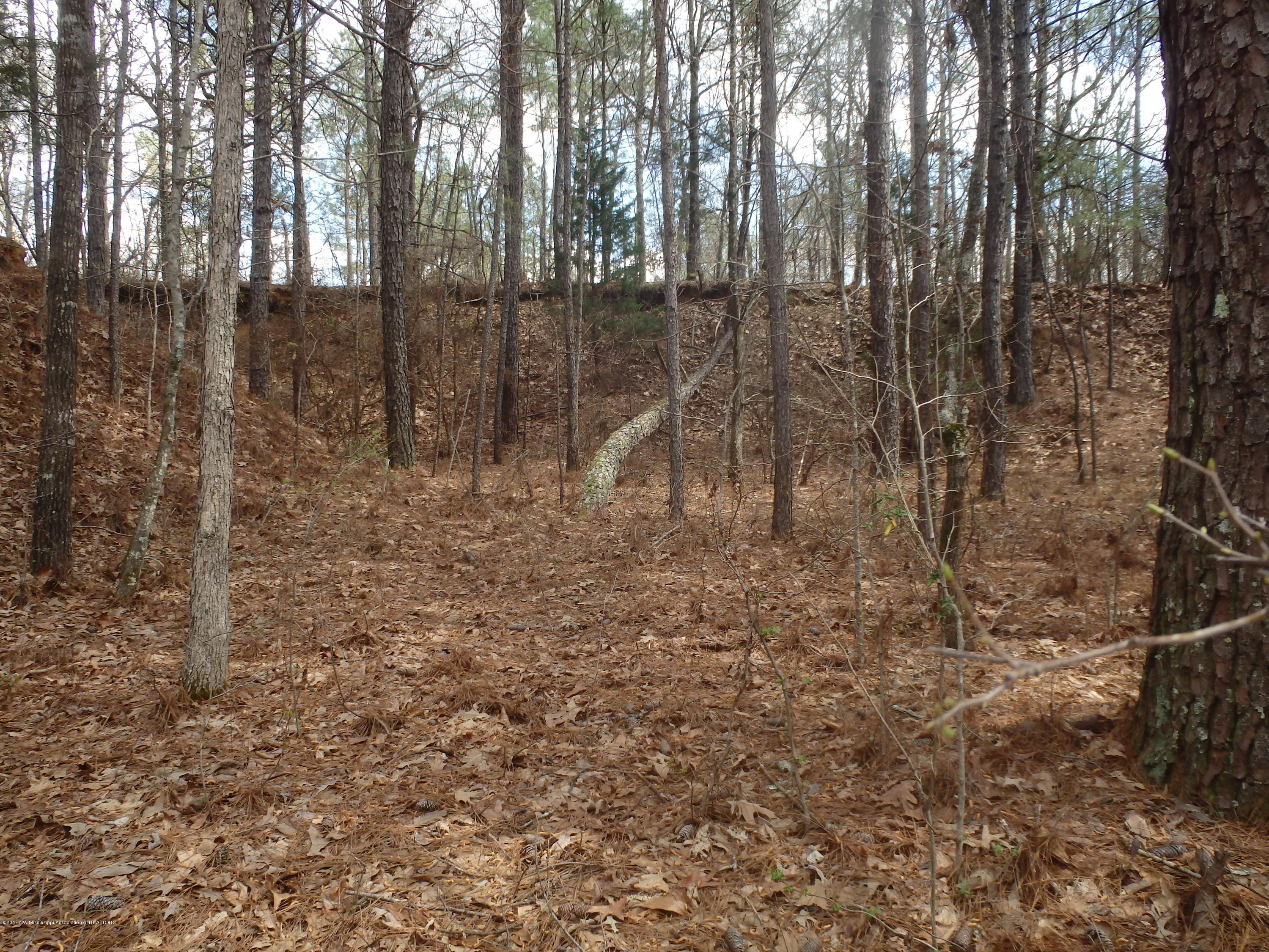 737 Graves Road Holly Springs, MS 38635 - Photo 5 of 8 P3260047