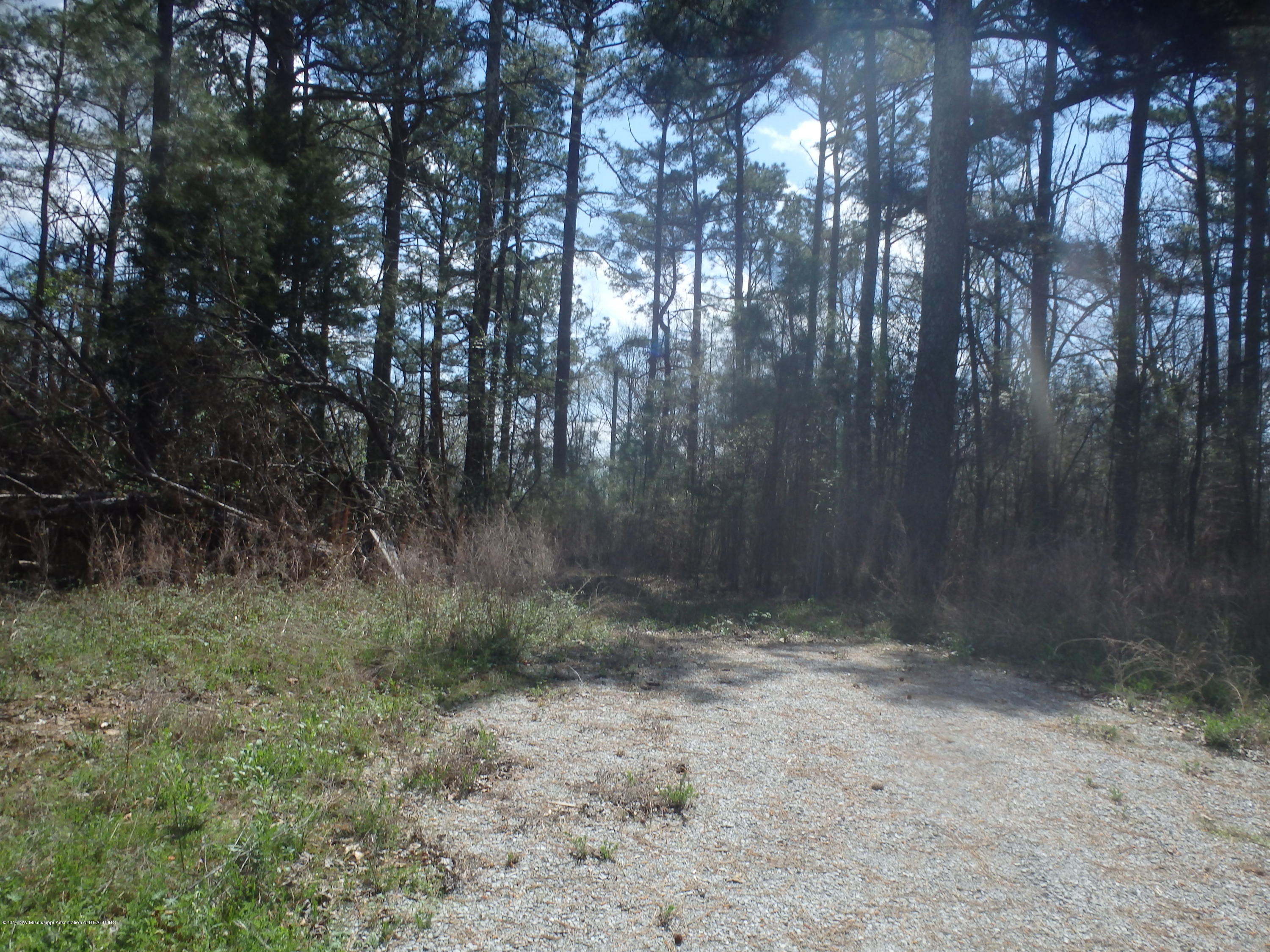 737 Graves Road Holly Springs, MS 38635 - Photo 8 of 8 P3260032