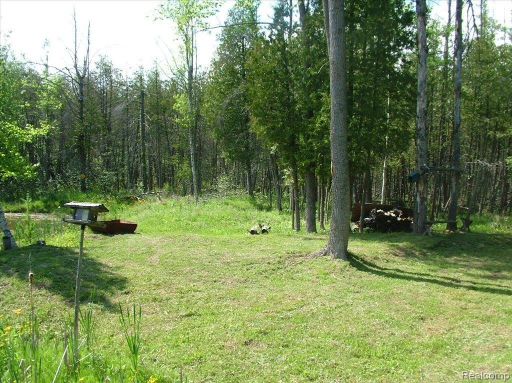 5950 Hasslick Road North Branch, MI 48461 - Photo 4 of 9 DSCF4464