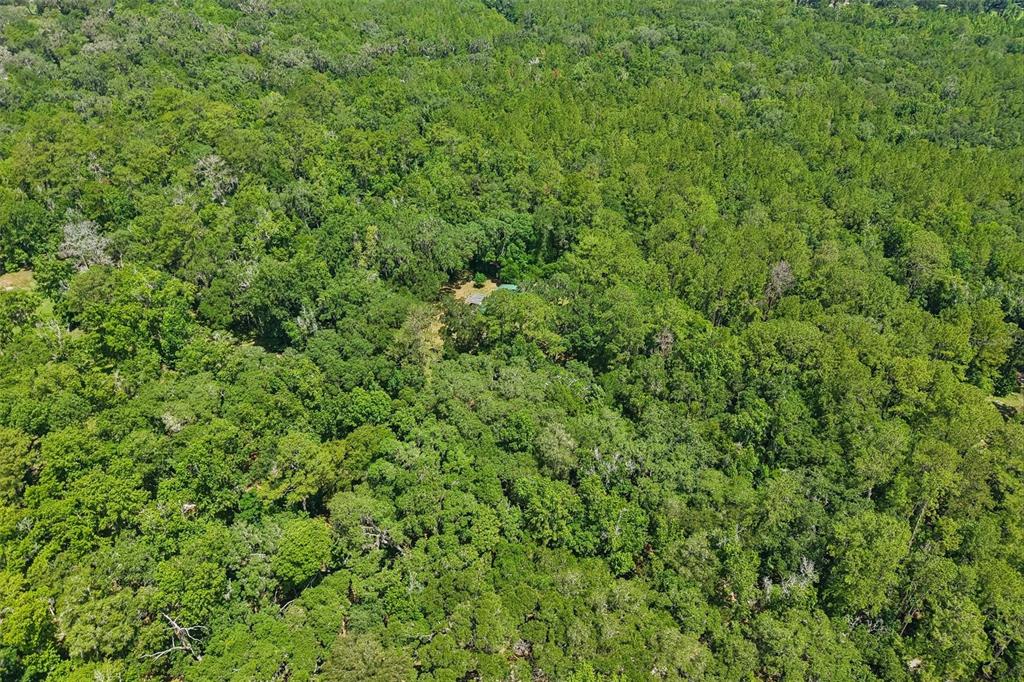 6221 Emerson Road Brooksville, FL 34601 - Photo 41 of 45