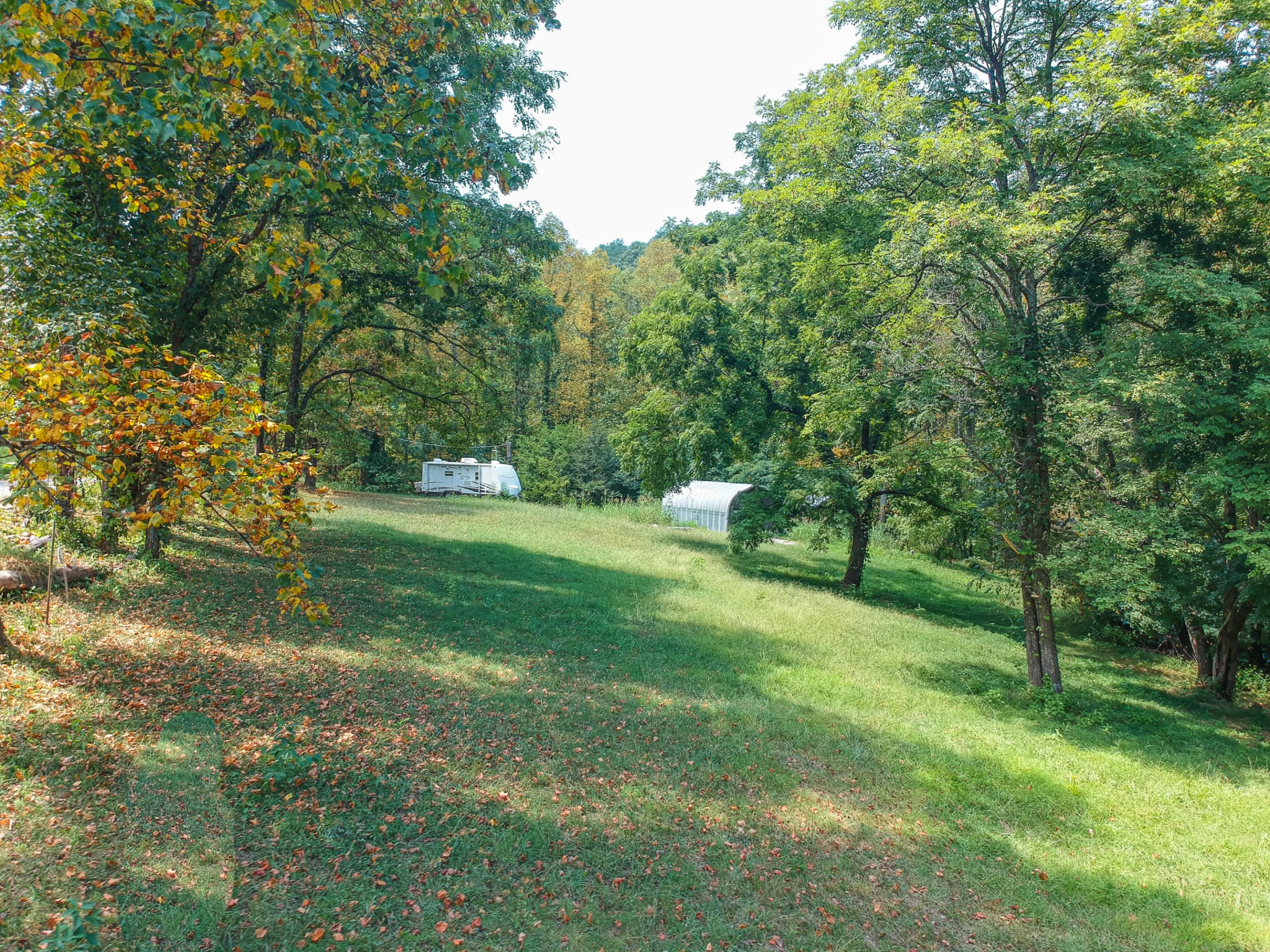 953 Goose Creek Road Seymour, TN 37865 - Photo 6 of 22 Gallery Image 6
