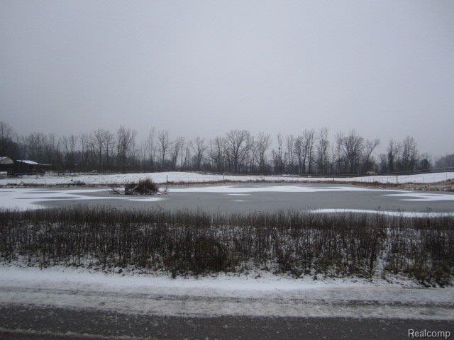 79775 Tory Circle Romeo, MI 48065 - Photo 13 of 22 Split A I.JPG