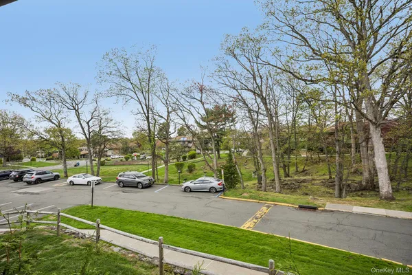 a view of a park with large trees