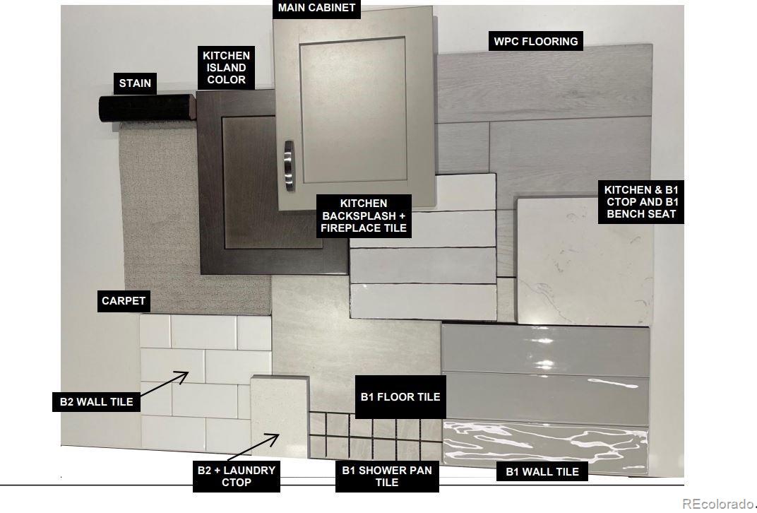 746 Simmental Loop Castle Rock, CO 80104 - Photo 4 of 15