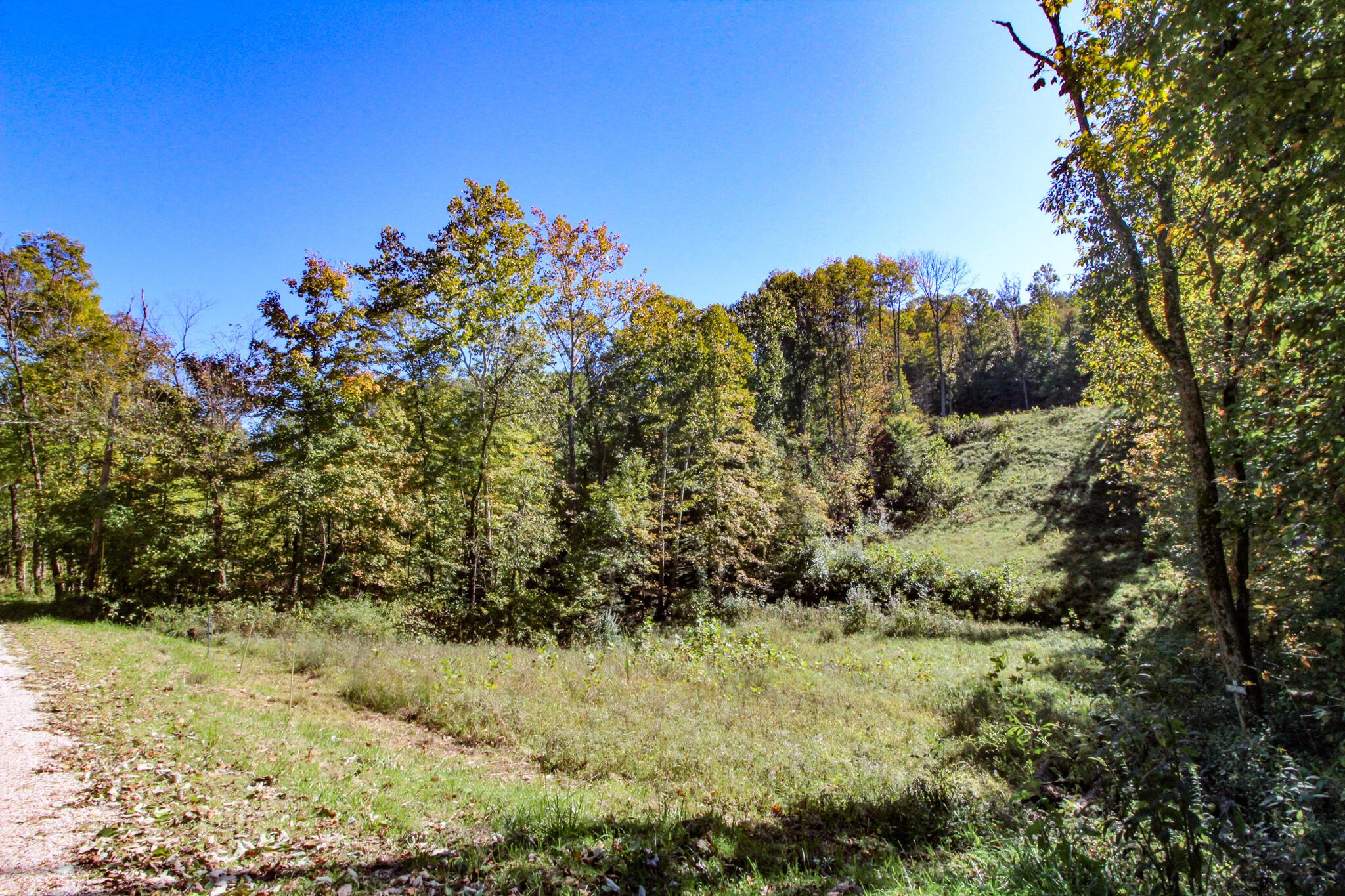 0 Mud Run Road Summerfield, OH 43788 - Photo 42 of 51 IMG_5469