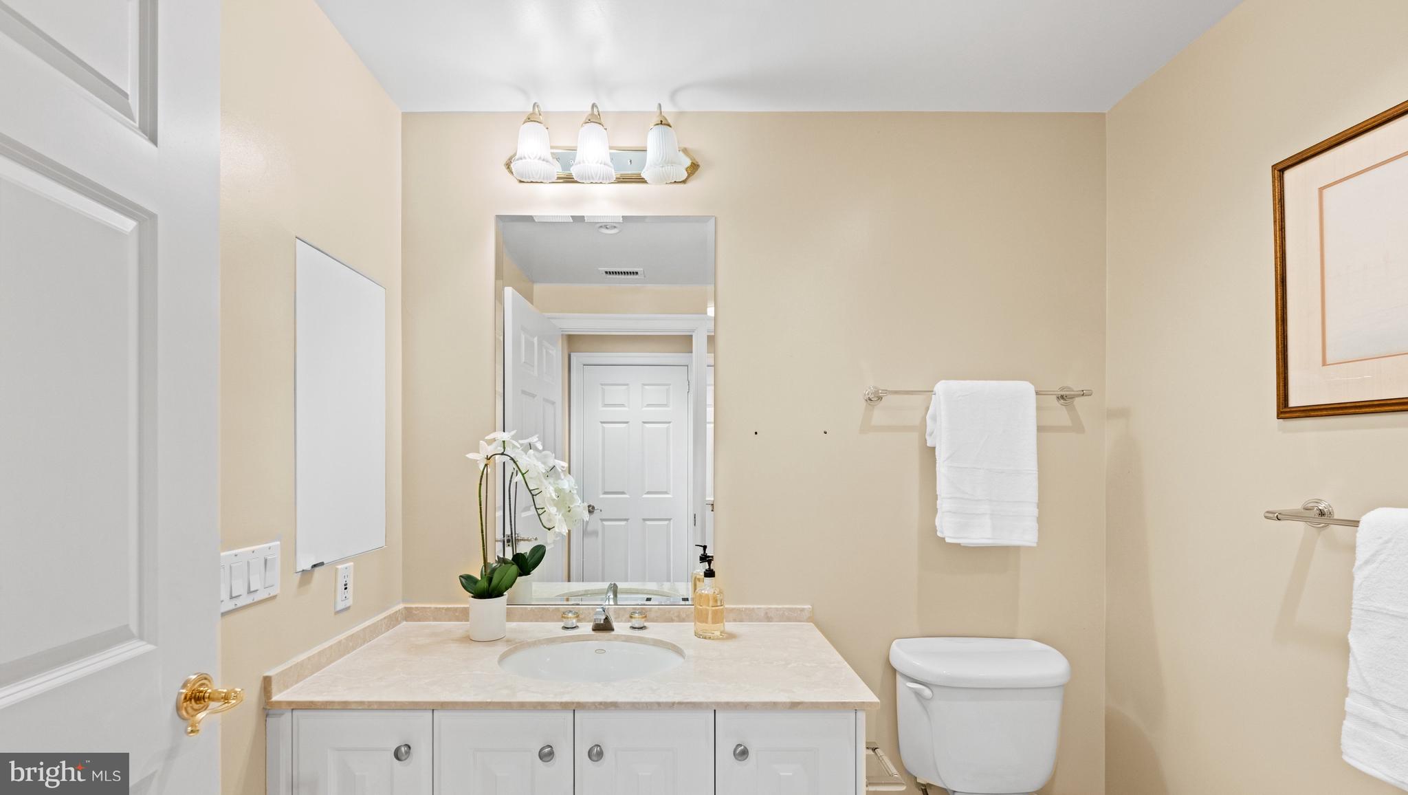 5630 Wisconsin Avenue, Unit 903 Chevy Chase, MD 20815 - Photo 28 of 50 a bathroom with a sink toilet and mirror