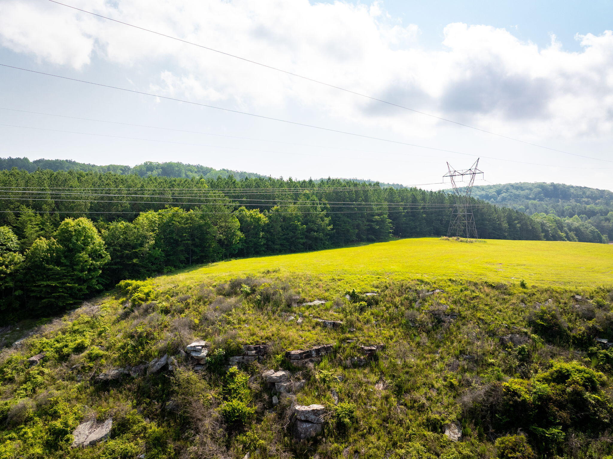 0 Split Rail Way, Unit LOT 1193 Guild, TN 37340 - Photo 14 of 30 14-web-or-mls-DJI_20250604075358_0926_D-