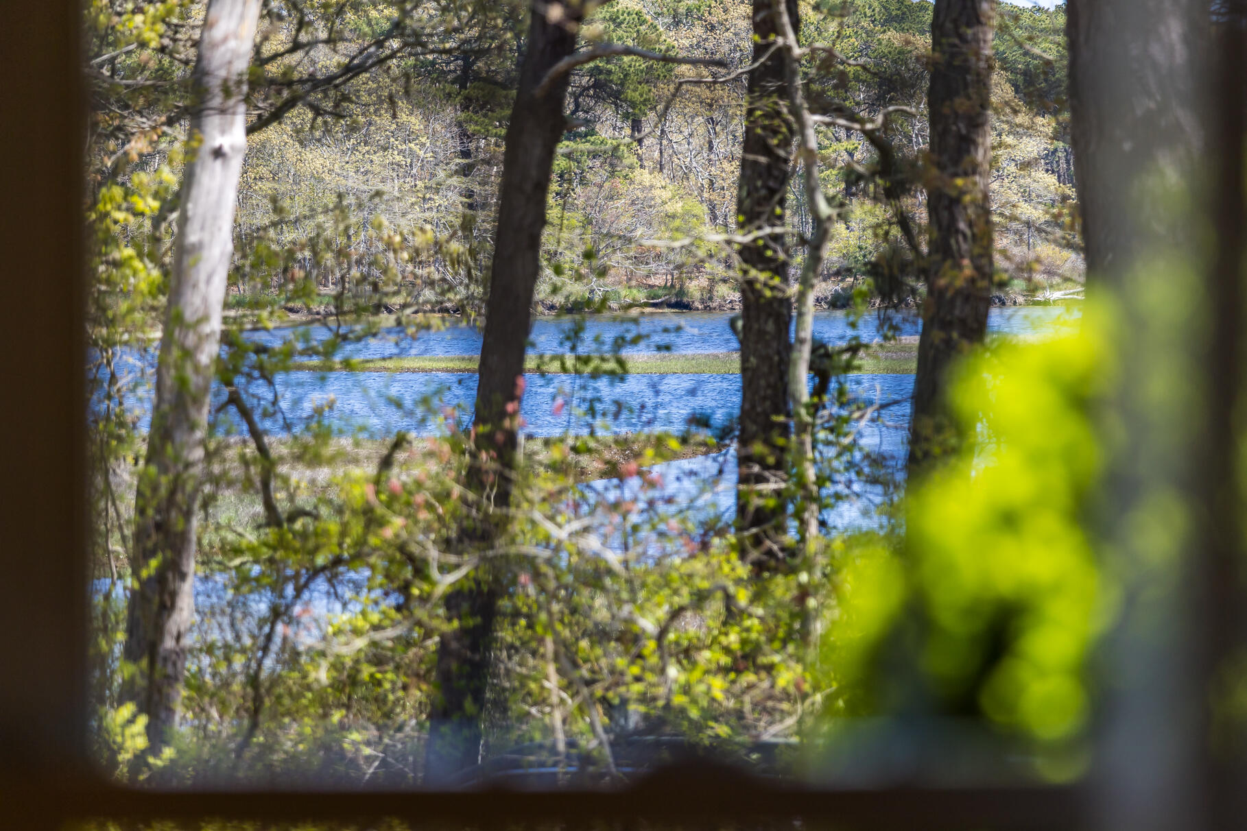 98 N Road West Harwich, MA 02671 - Photo 39 of 56 9L4A8111