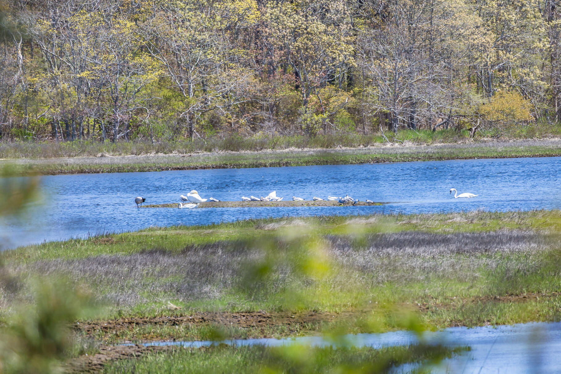 98 N Road West Harwich, MA 02671 - Photo 40 of 56 9L4A7978