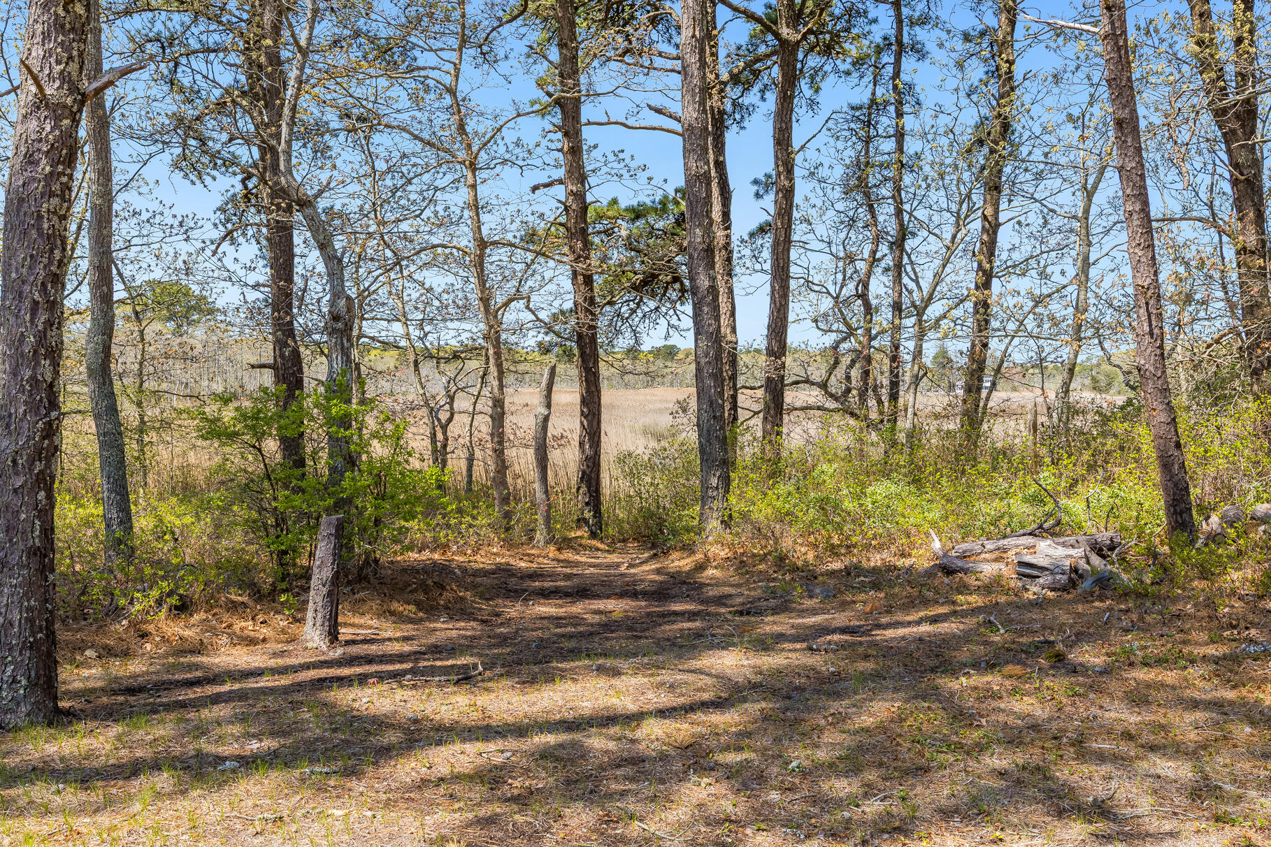 98 N Road West Harwich, MA 02671 - Photo 46 of 56 her9L4A7966