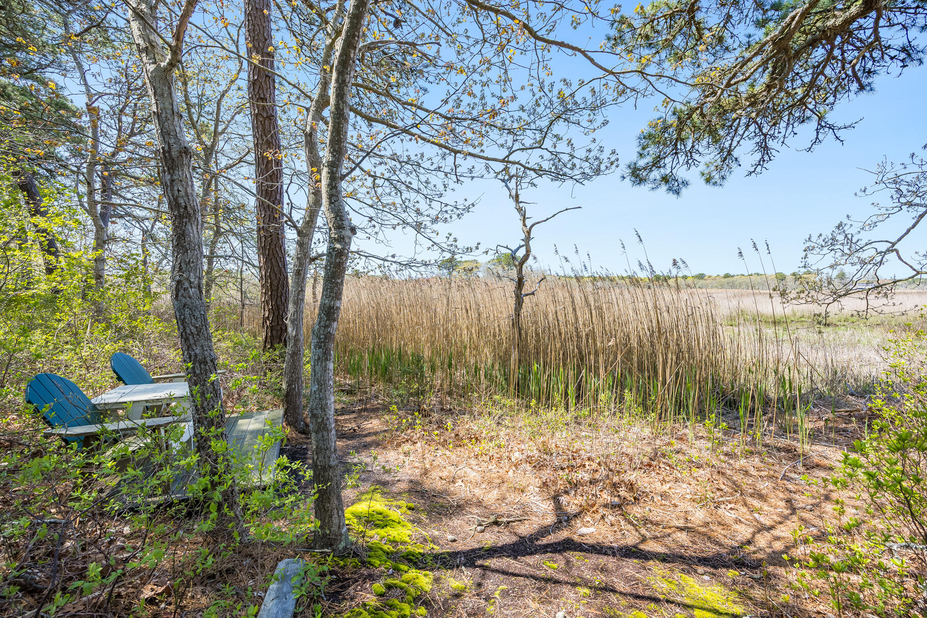 98 N Road West Harwich, MA 02671 - Photo 47 of 56 9L4A7967