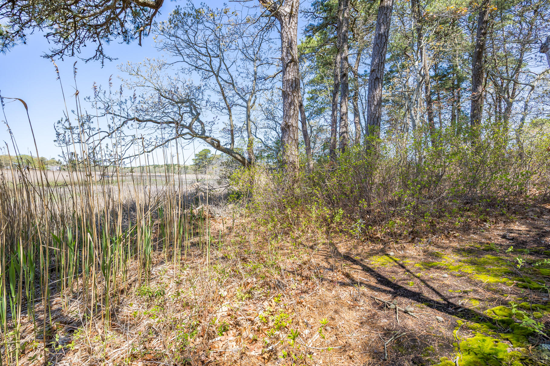 98 N Road West Harwich, MA 02671 - Photo 48 of 56 9L4A7968