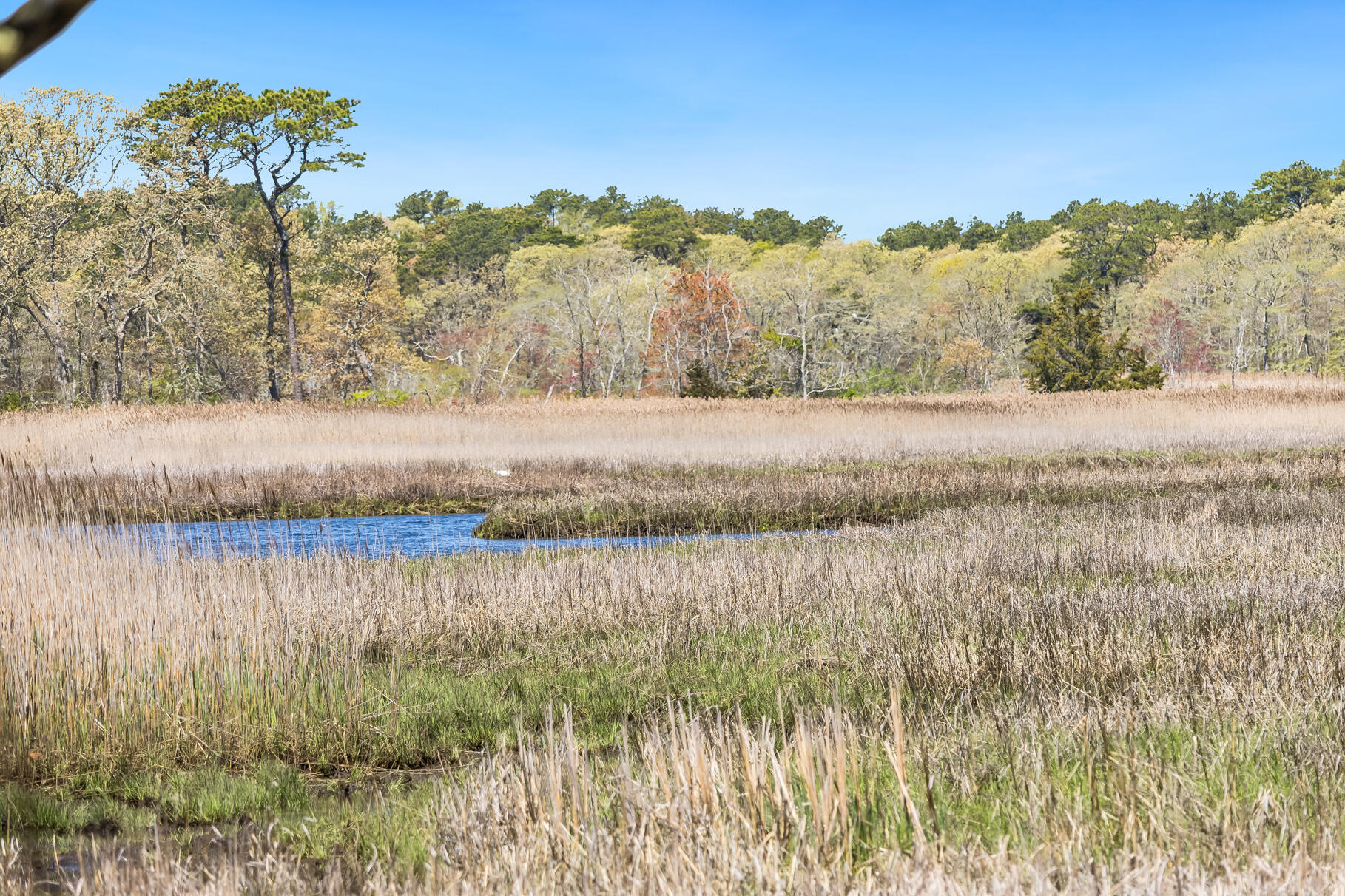 98 N Road West Harwich, MA 02671 - Photo 49 of 56 9L4A7969
