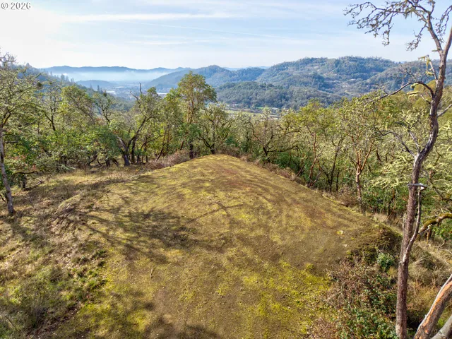 $250,000 | 0 Ryan Heights Lane, Unit TL 603, Roseburg, OR 97470