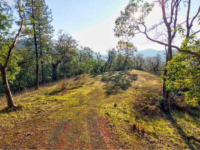 $250,000 | 0 Ryan Heights Lane, Unit TL 603, Roseburg, OR 97470