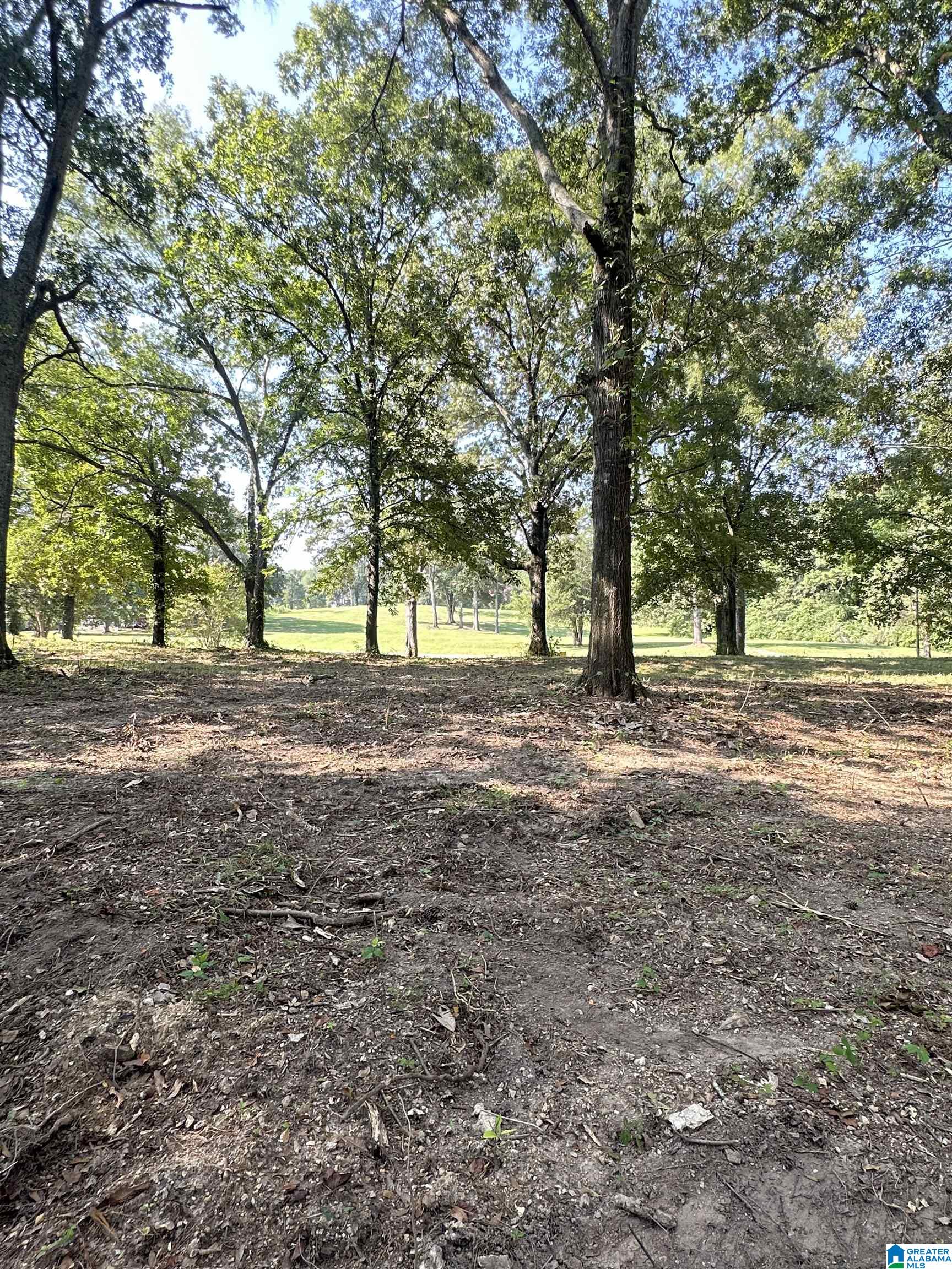 3100 Easonville Road, Unit 7 Pell City, AL 35128 - Photo 2 of 8