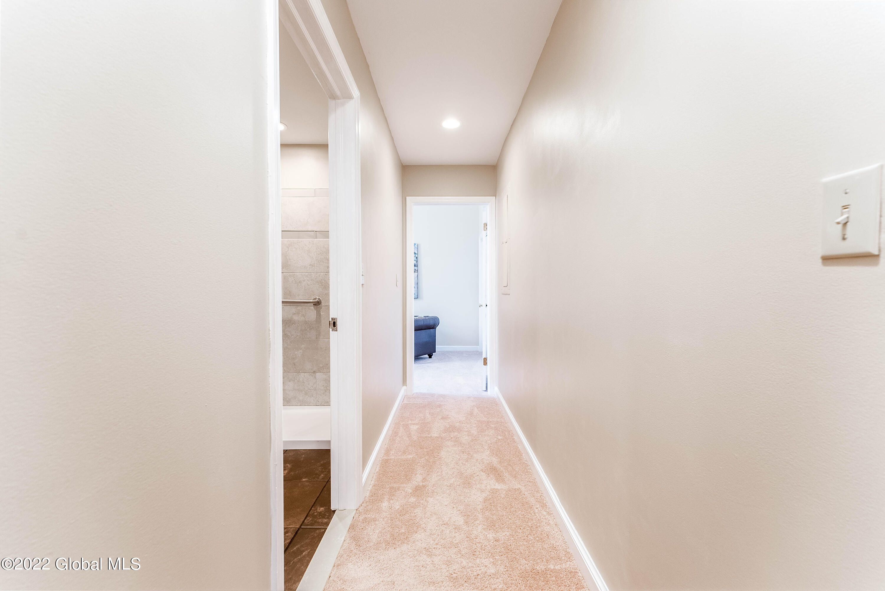 137 Front Street, Unit 106 Schenectady, NY 12305 - Photo 19 of 29 DSC01732-Edit