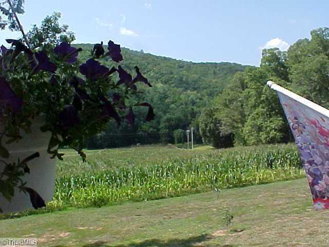 470 Old Mill Road Lowgap, NC 27024 - Photo 11 of 13 View. Serene views from front porch
