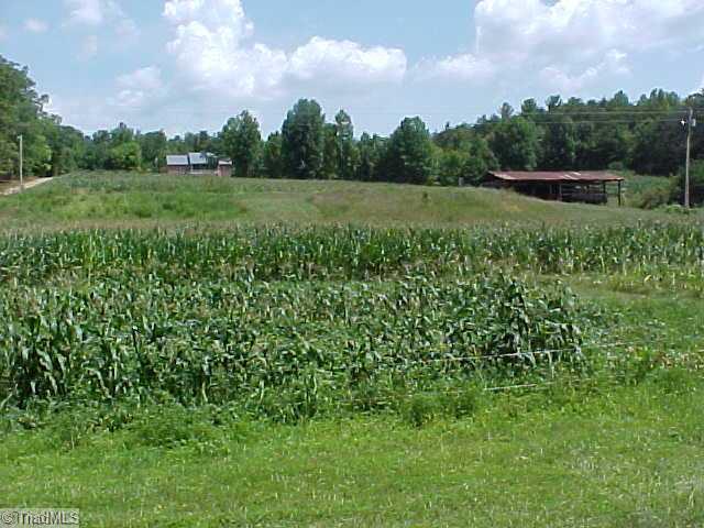 470 Old Mill Road Lowgap, NC 27024 - Photo 12 of 13 Exterior Front. View from lowre acreage towards house.