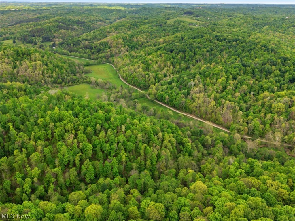 0 Pratts Run Road Woodsfield, OH 43793 - Photo 7 of 24