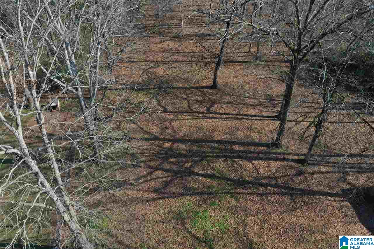 433 Arrow Road Jasper, AL 35501 - Photo 20 of 24 Gallery Image 20