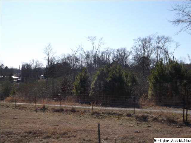 New Prospect Church Road, Unit 16 Horton, AL 35980 - Photo 12 of 20