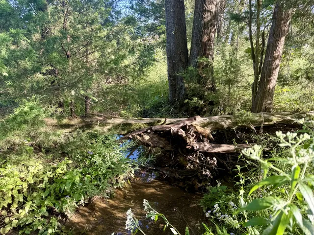 $635,000 | 4757 Wildberry Lane, Chapel Hill, TN 37034