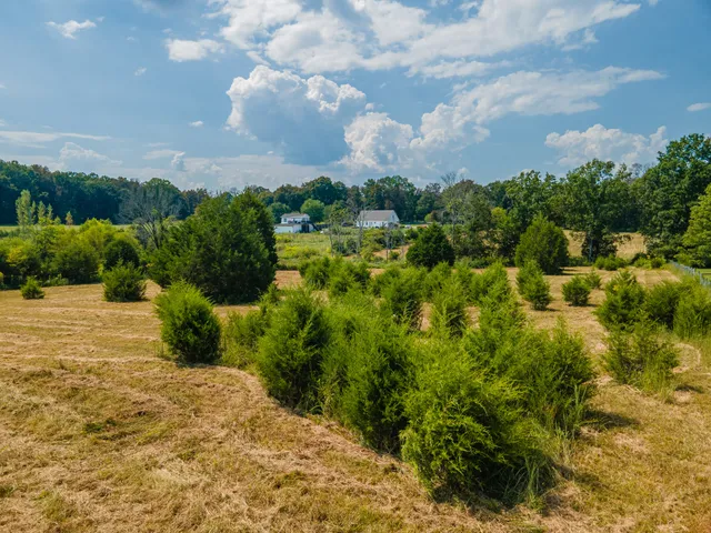 $635,000 | 4757 Wildberry Lane, Chapel Hill, TN 37034