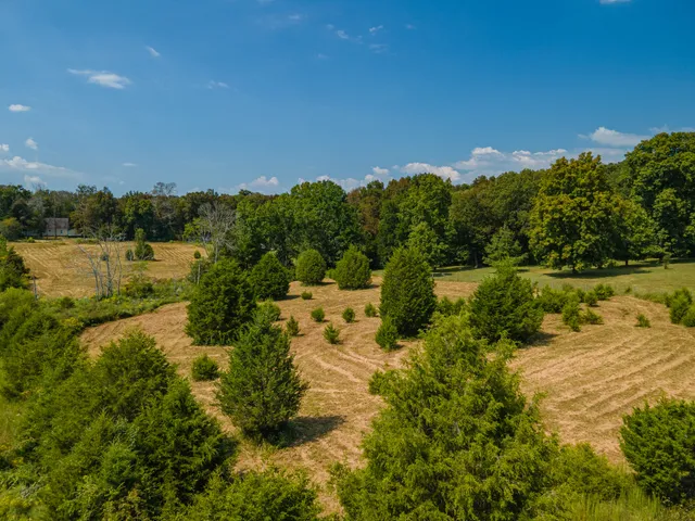 $635,000 | 4757 Wildberry Lane, Chapel Hill, TN 37034