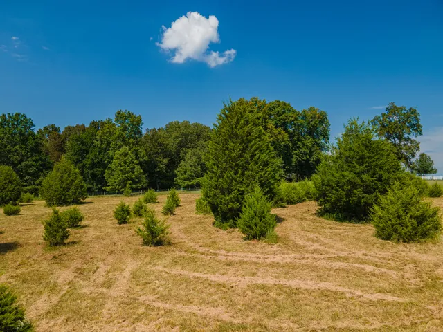 $635,000 | 4757 Wildberry Lane, Chapel Hill, TN 37034