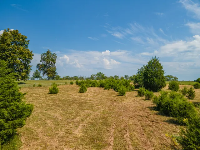 $635,000 | 4757 Wildberry Lane, Chapel Hill, TN 37034