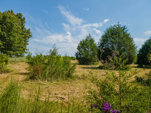 $635,000 | 4757 Wildberry Lane, Chapel Hill, TN 37034