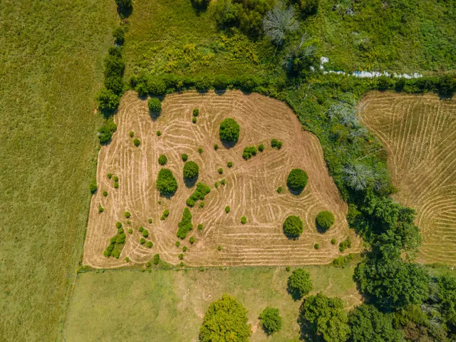 $635,000 | 4757 Wildberry Lane, Chapel Hill, TN 37034