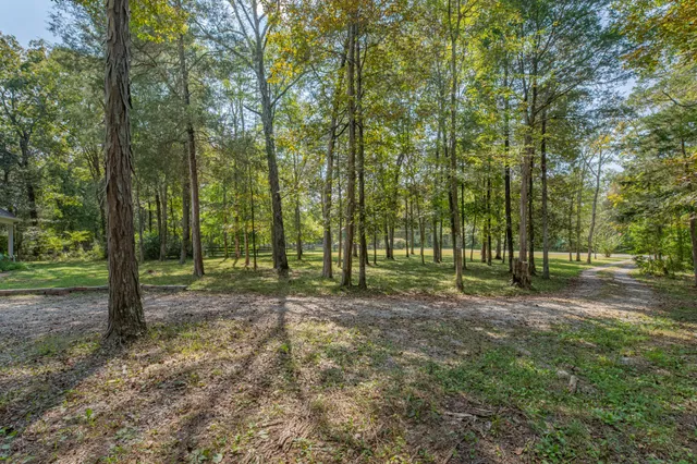 $635,000 | 4757 Wildberry Lane, Chapel Hill, TN 37034