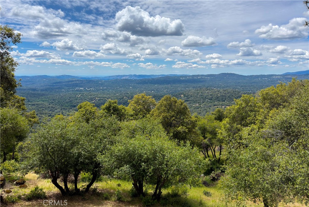 5603 Clouds Rest Mariposa, CA 95338 - Photo 47 of 75 Views from 4th Bedroom