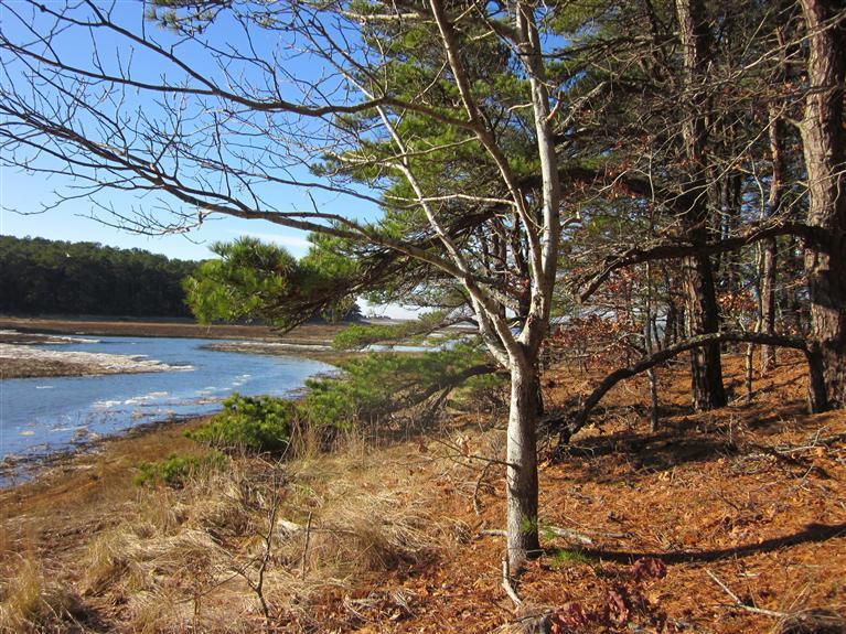 240 Blue Heron Road Wellfleet, MA 02667 - Photo 5 of 34 Additional Photo
