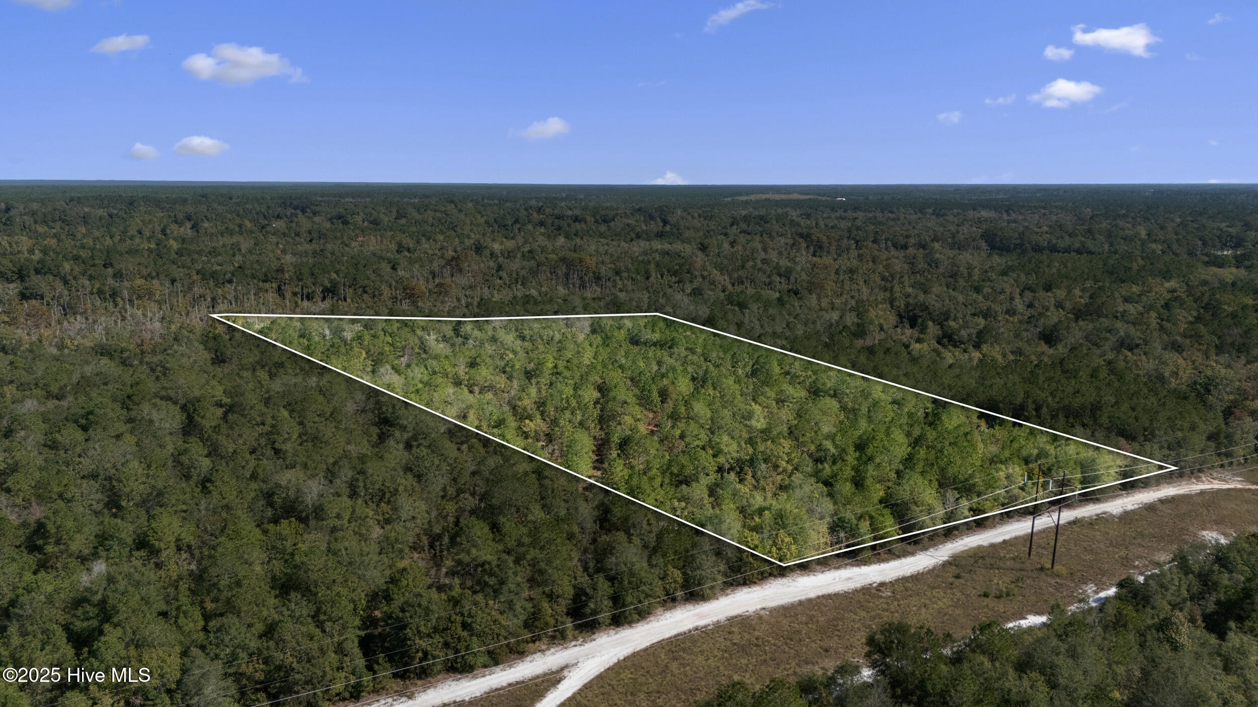 0 Green Swamp Rd Road Northwest Supply, NC 28462 - Photo 7 of 35 35_lot lines 6