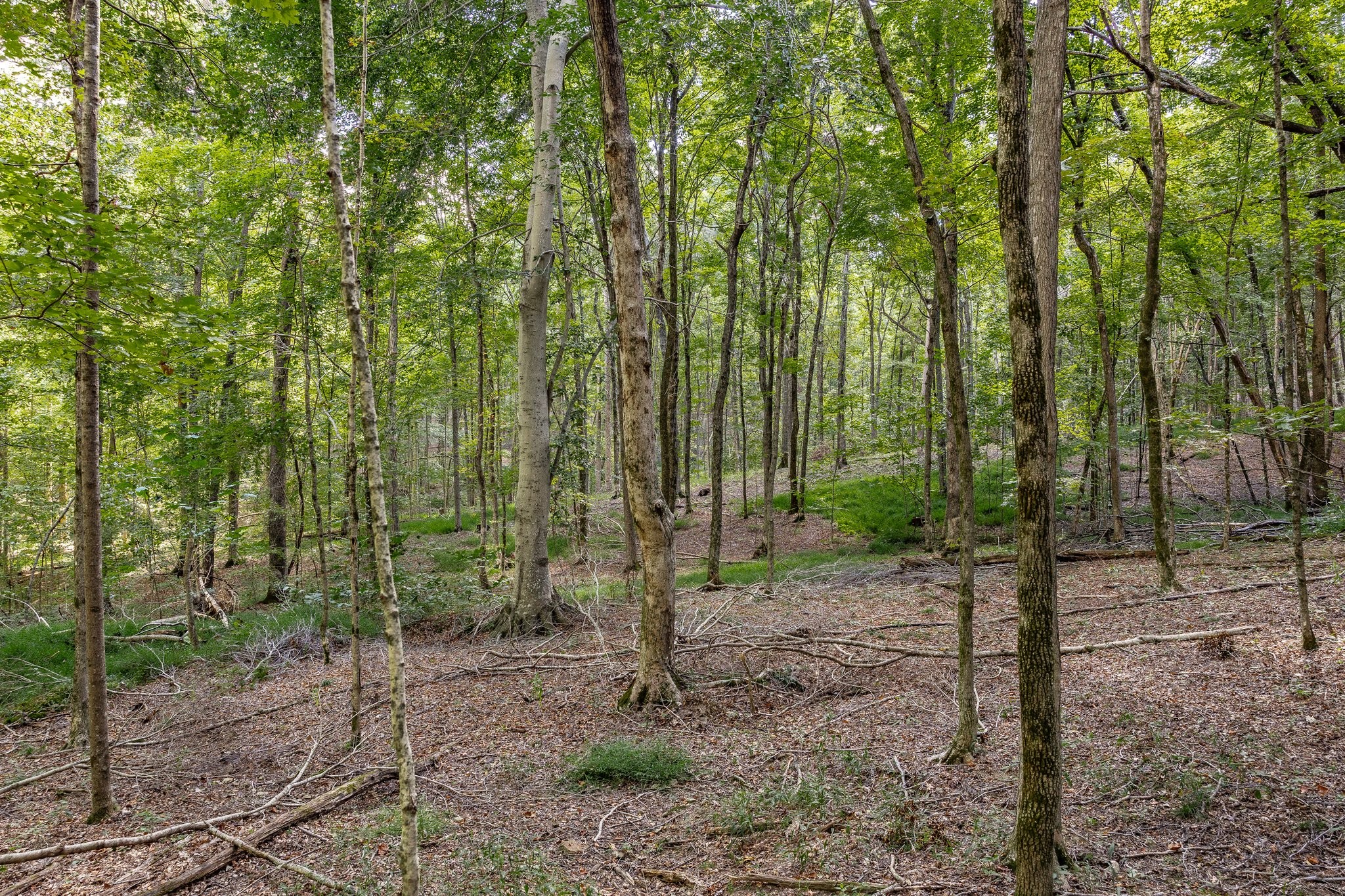 0 Keytown Road Gallatin, TN 37066 - Photo 35 of 57 Gallery Image 35