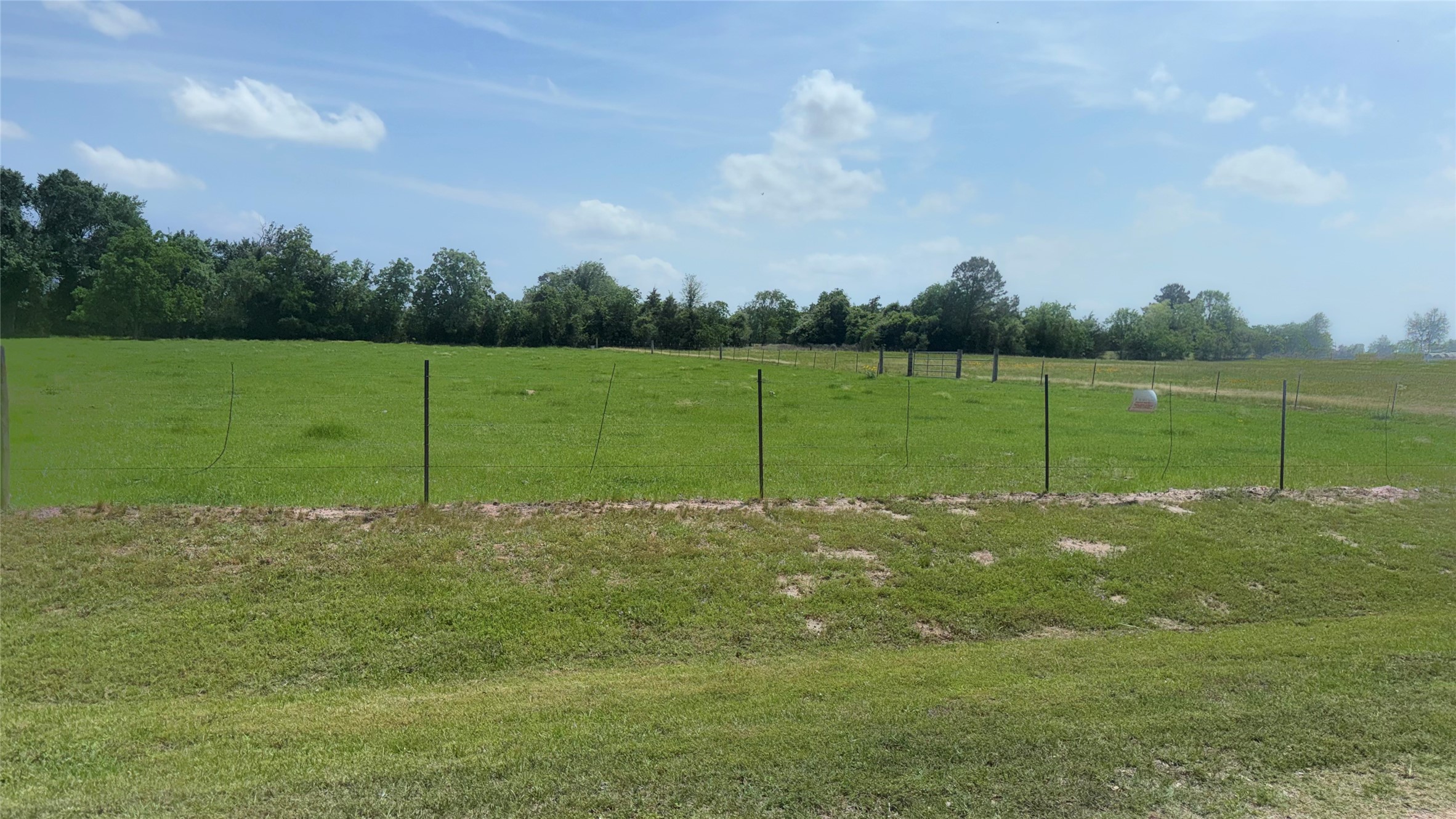 35206 Cattle Creek Road Pine Island, TX 77445 - Photo 13 of 14