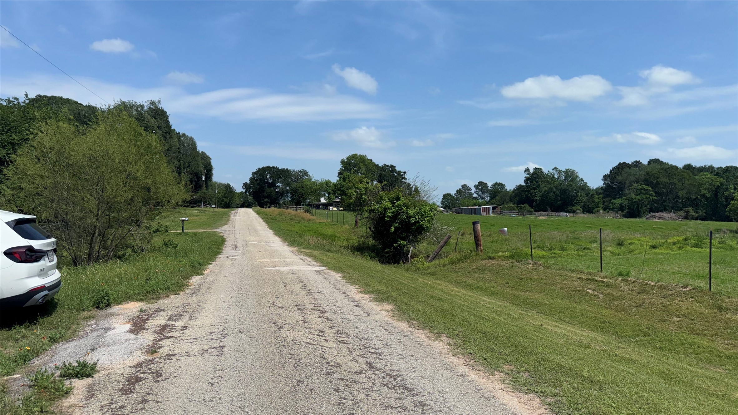 35206 Cattle Creek Road Pine Island, TX 77445 - Photo 14 of 14 Quiet road