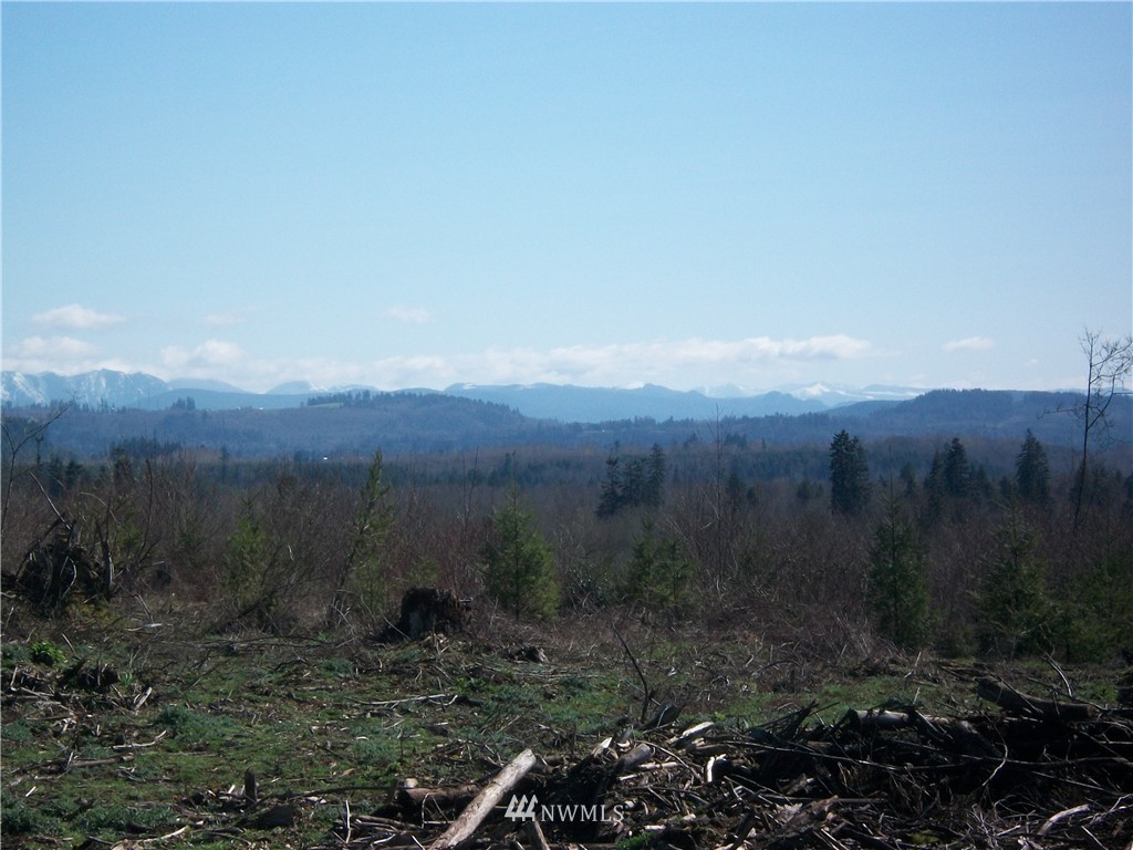 4 Brim Road Onalaska, WA 98570 - Photo 1 of 1 Gallery Image 1