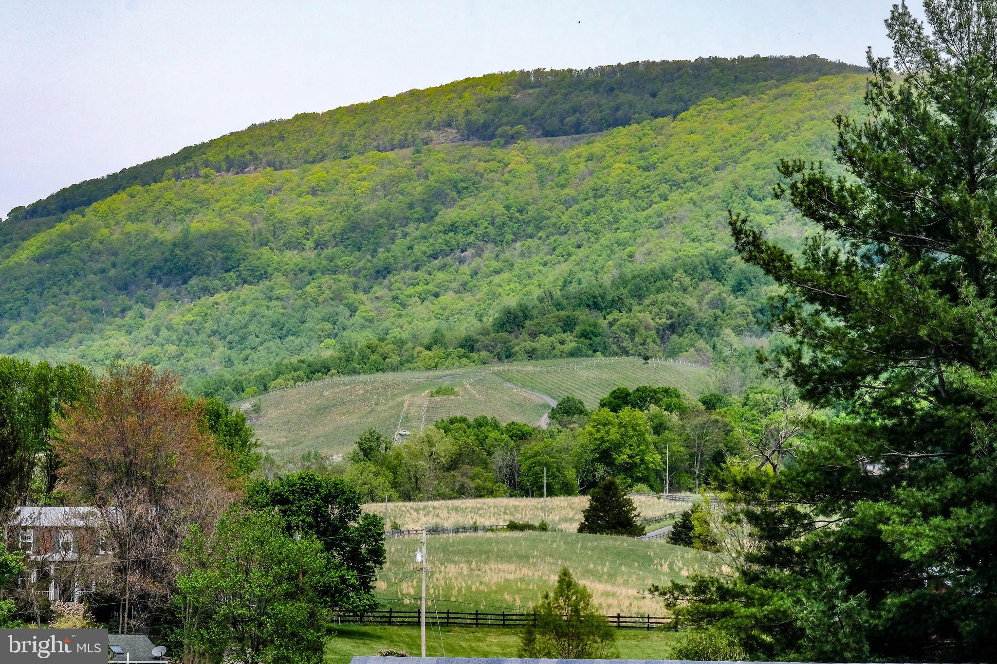136 Harmony Way Front Royal, VA 22630 - Photo 2 of 71