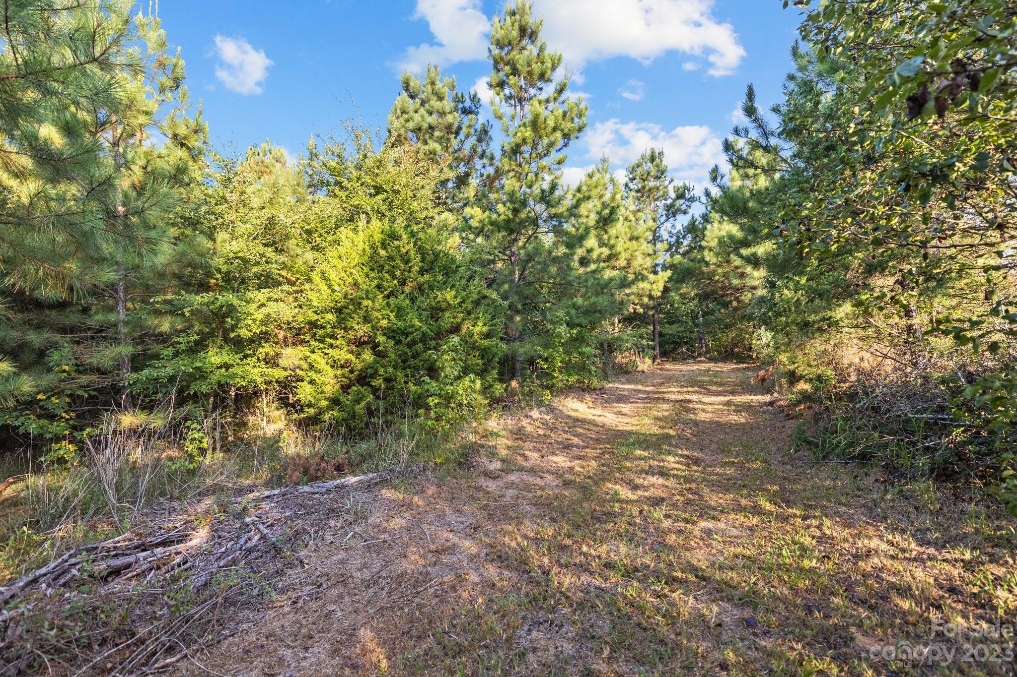 0 Potter Road, Unit 3A3B Lancaster, SC 29720 - Photo 3 of 31 a view of a yard with a tree
