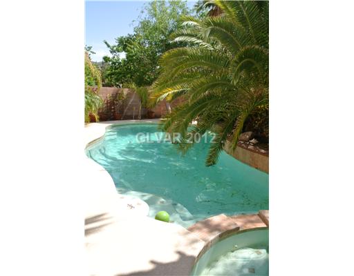 197 Oella Ridge Court Henderson, NV 89012 - Photo 15 of 15 Swimming Pool/Hot Tub/Sauna.