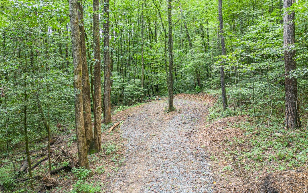 7864 Big Creek Road Ellijay, GA 30536 - Photo 3 of 14 Additional View